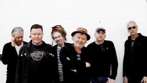 LEVELLERS - 35 YEARS LEVELLING THE LAND