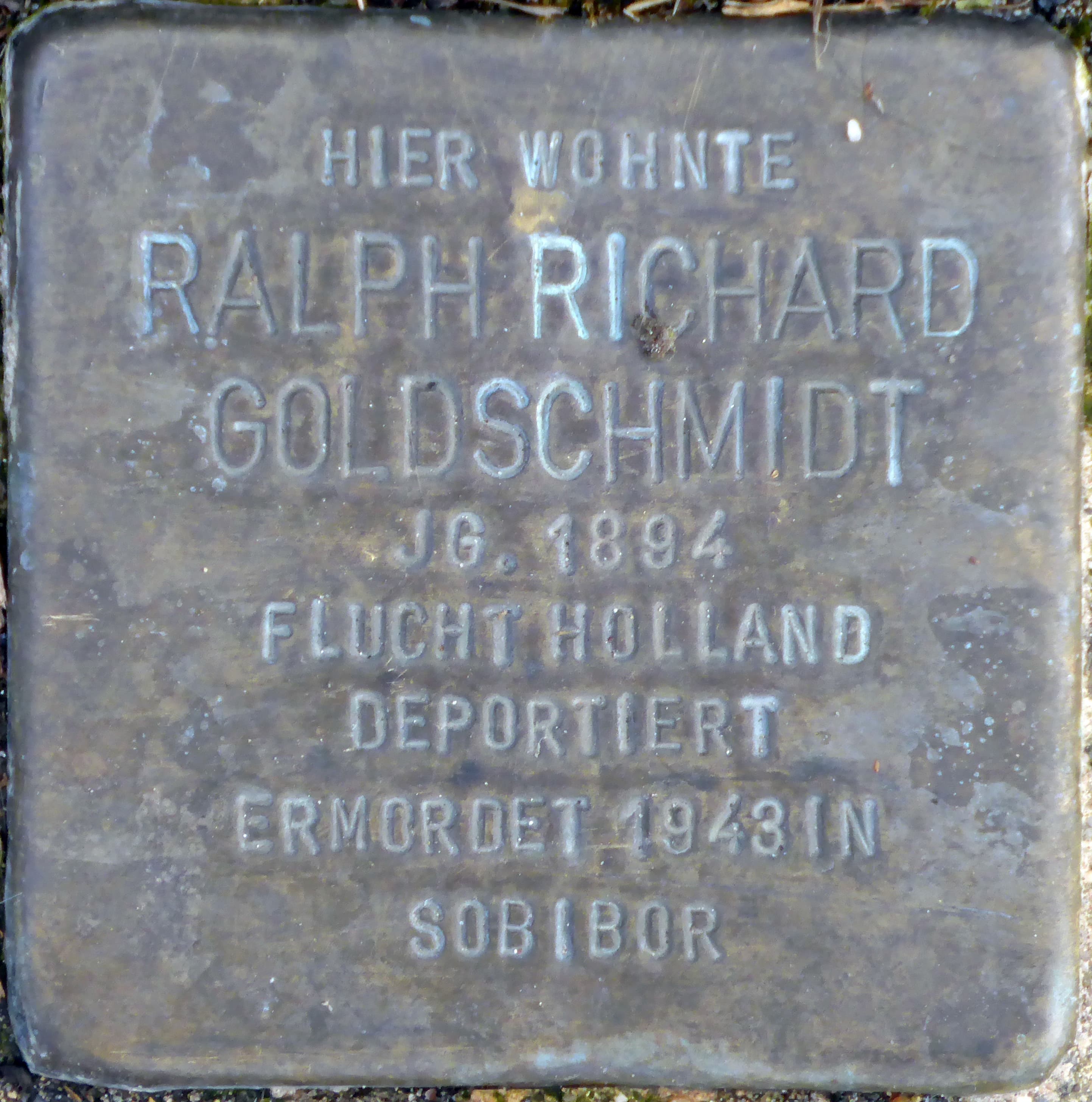 Ralph Richard Goldschmidt