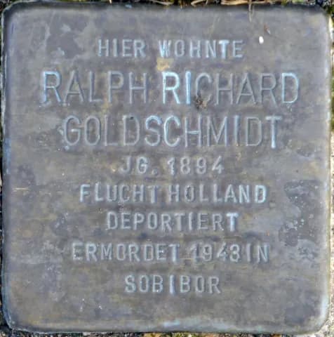 Ralph Richard Goldschmidt