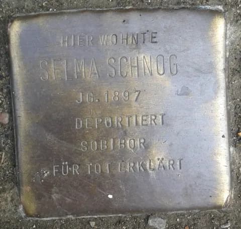 Selma Schnog