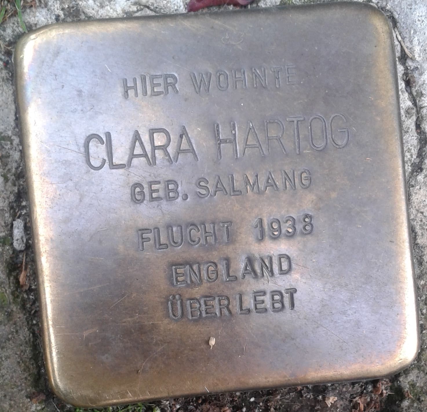 Clara Hartog