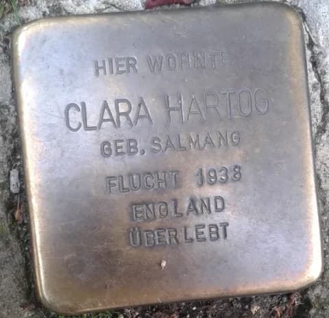 Clara Hartog