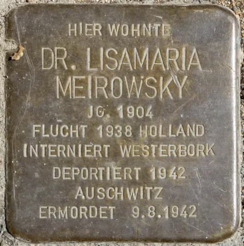 Dr. Lisamaria Meirowsky
