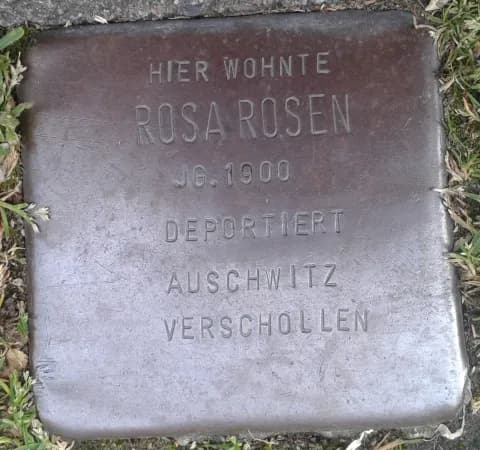 Rosa Rosen