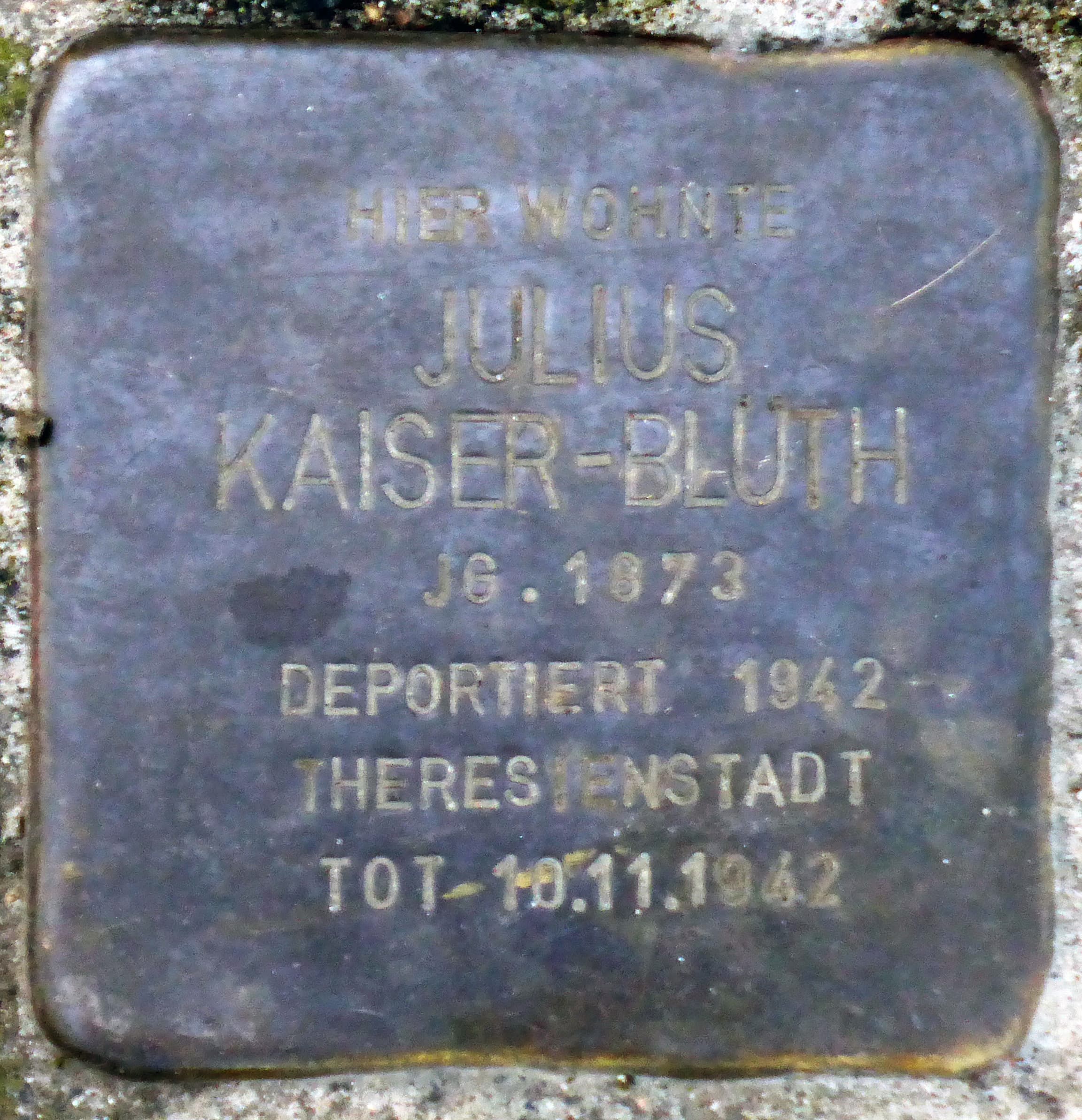 Julius Kaiser-Blüth
