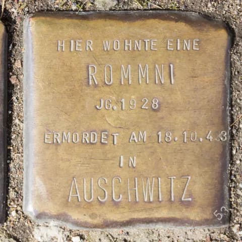 Rommni