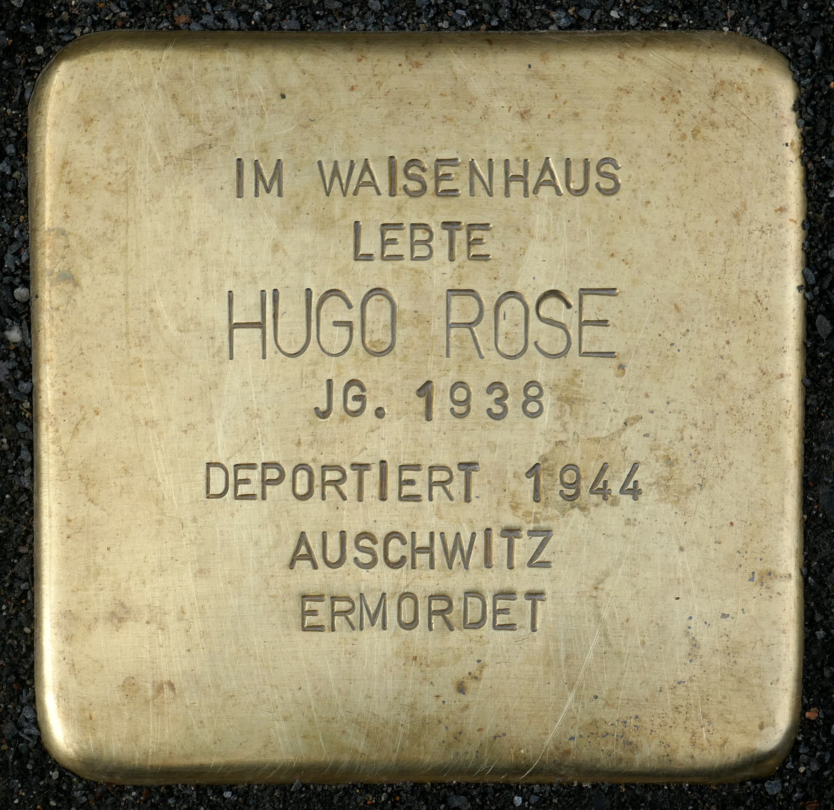 Hugo Rose
