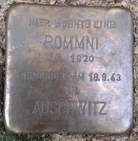 Rommni
