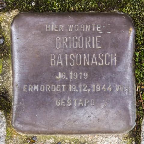 Grigorie Baisonasch