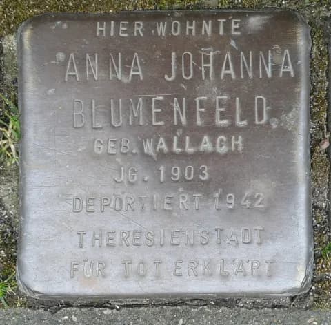 Anna Johanna Blumenfeld