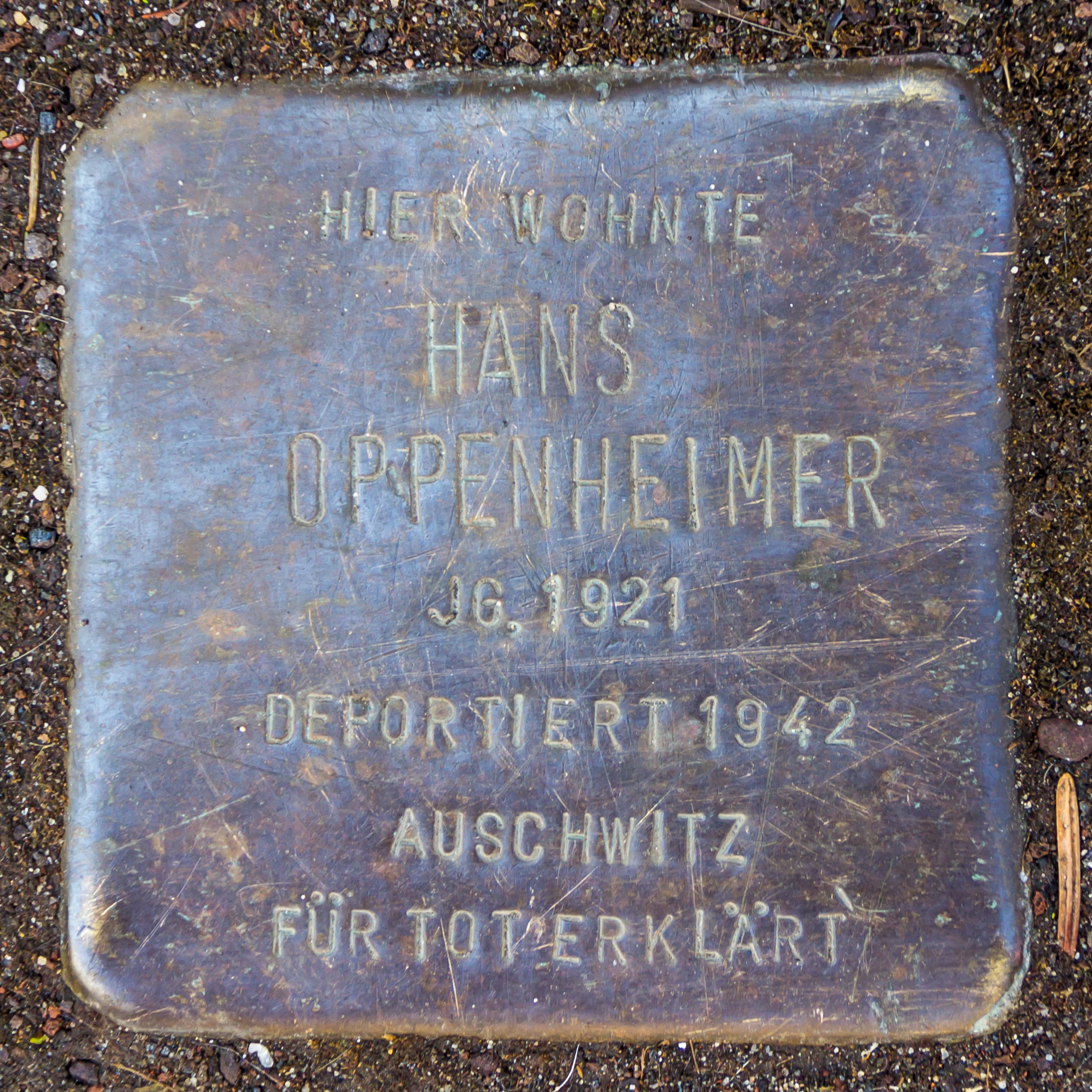 Hans Oppenheimer
