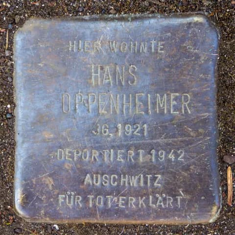 Hans Oppenheimer