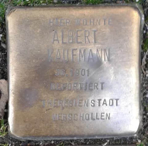 Albert Kaufmann