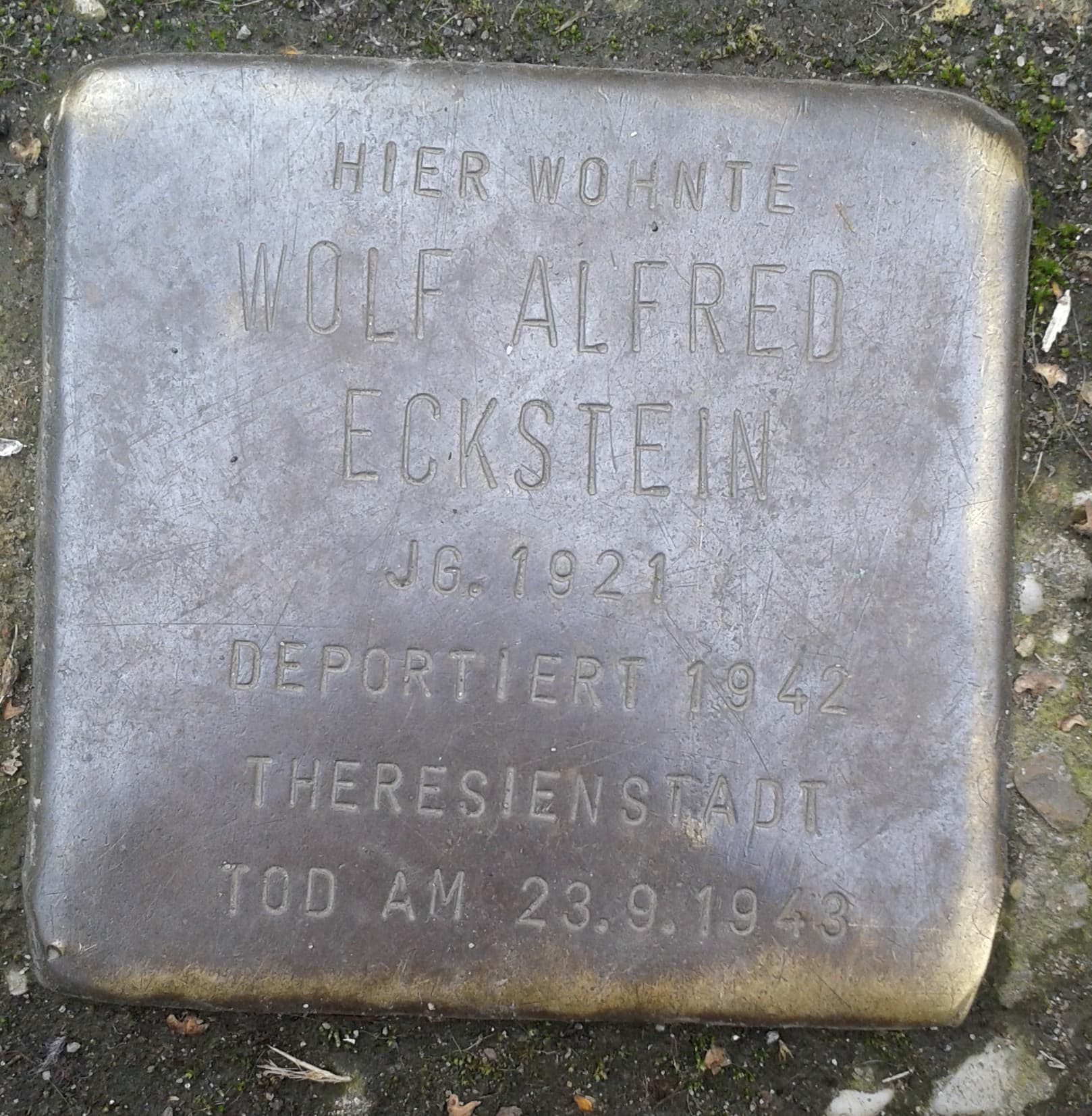 Wolf Alfred Eckstein