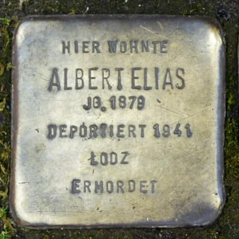 Albert Elias