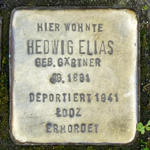 Hedwig Elias