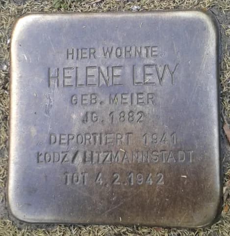Helene Levy