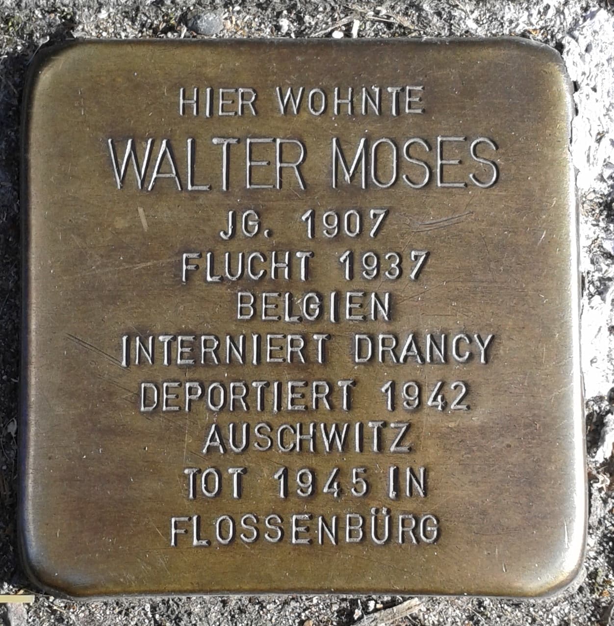 Walter Moses