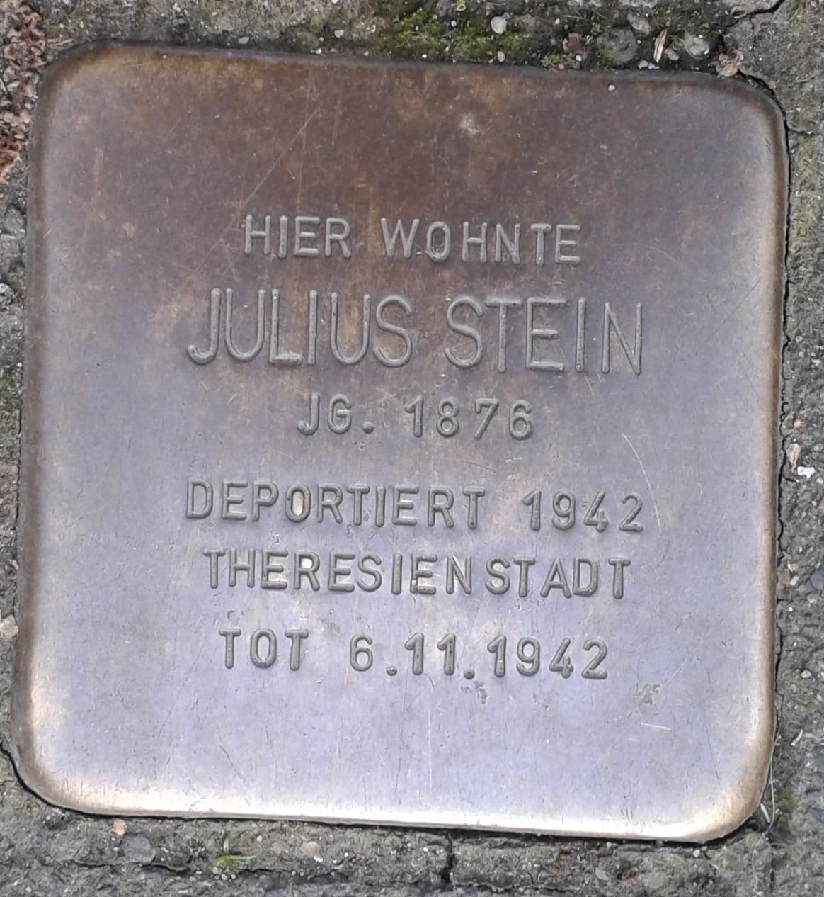 Julius Stein
