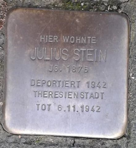 Julius Stein