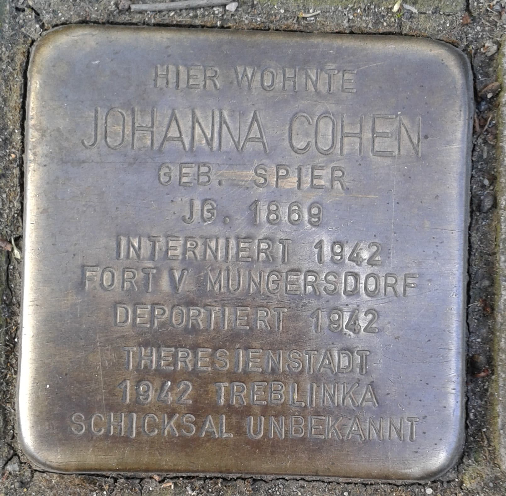 Johanna Cohen