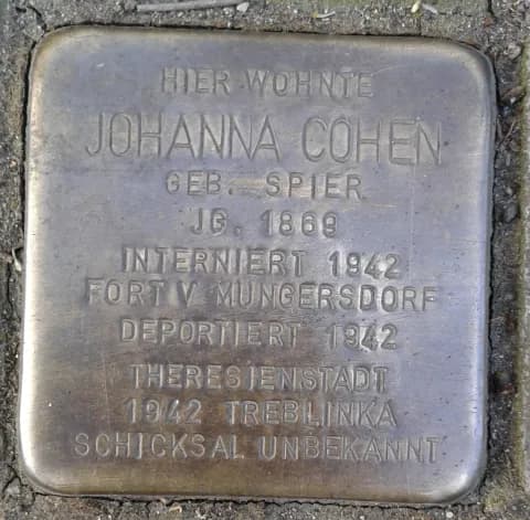 Johanna Cohen