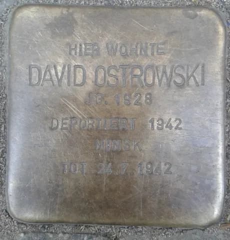 David Ostrowski