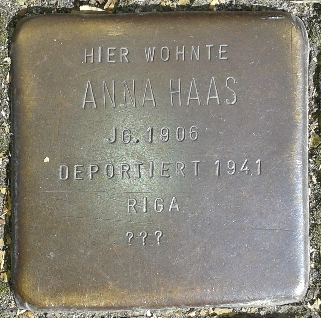Anna Haas
