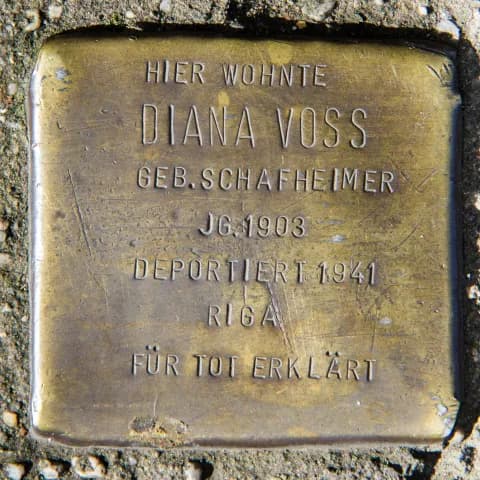 Diana Voss