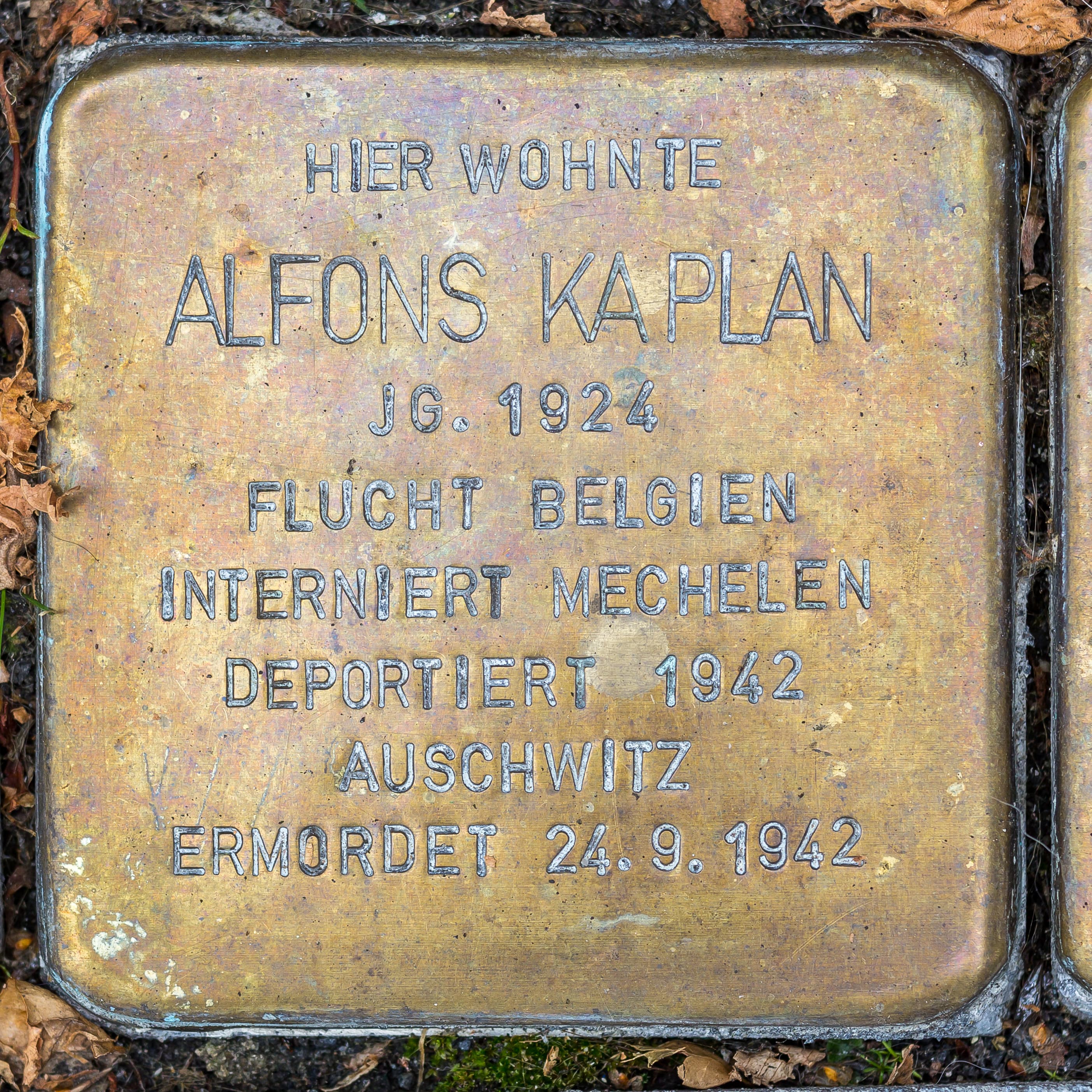 Alfons Kaplan