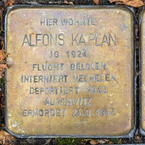 Alfons Kaplan