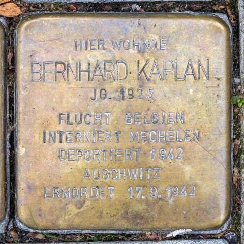 Alfons Kaplan