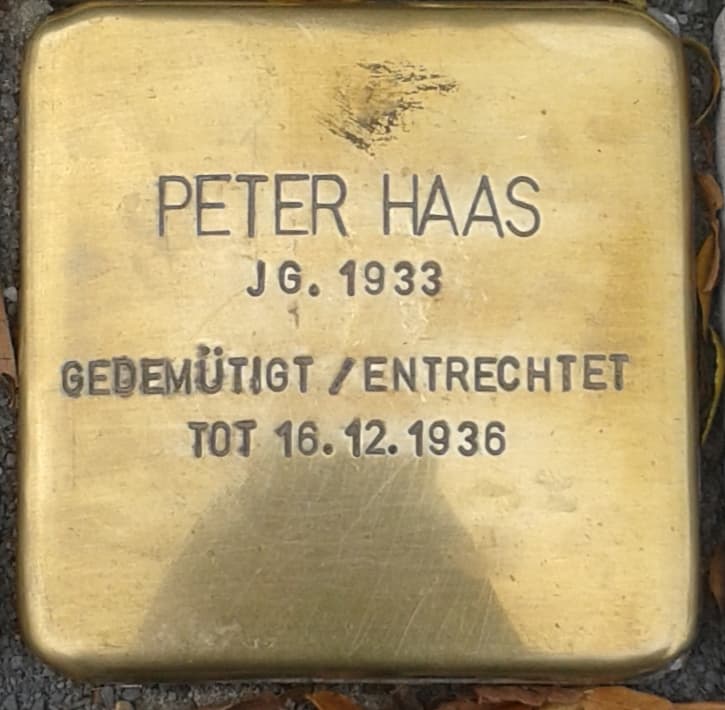 Peter Haas