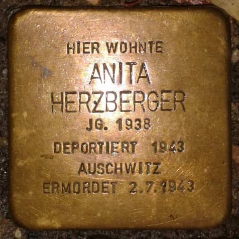 Anita Herzberger