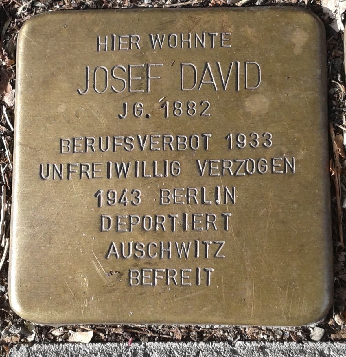 Josef David
