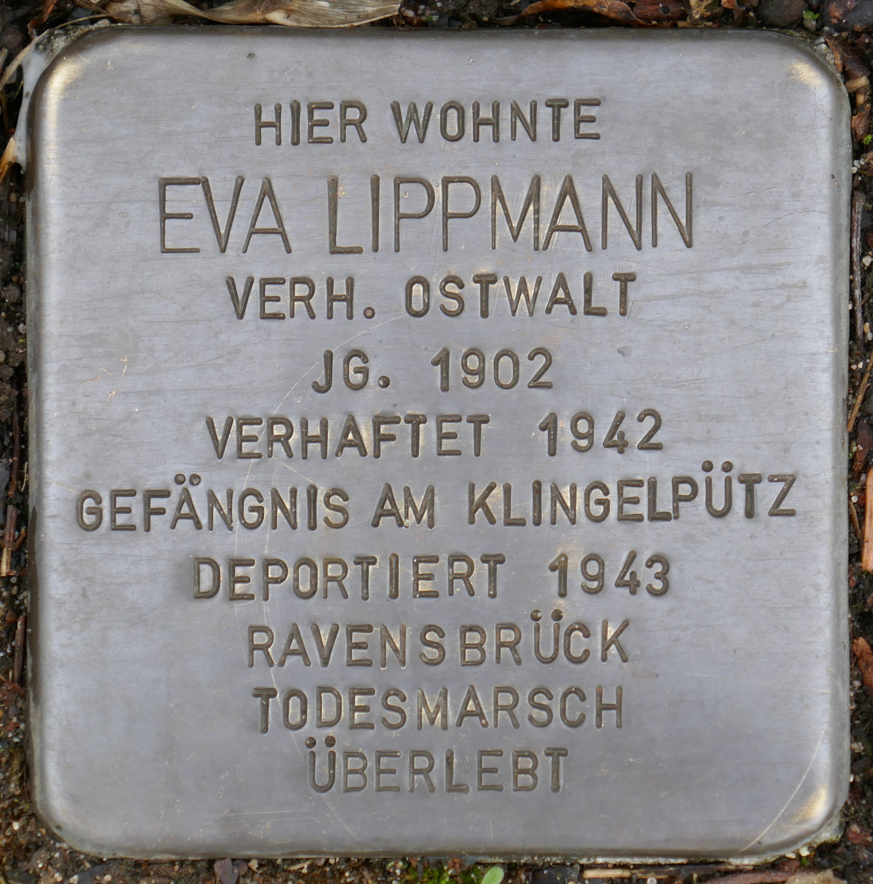 Eva Lippmann