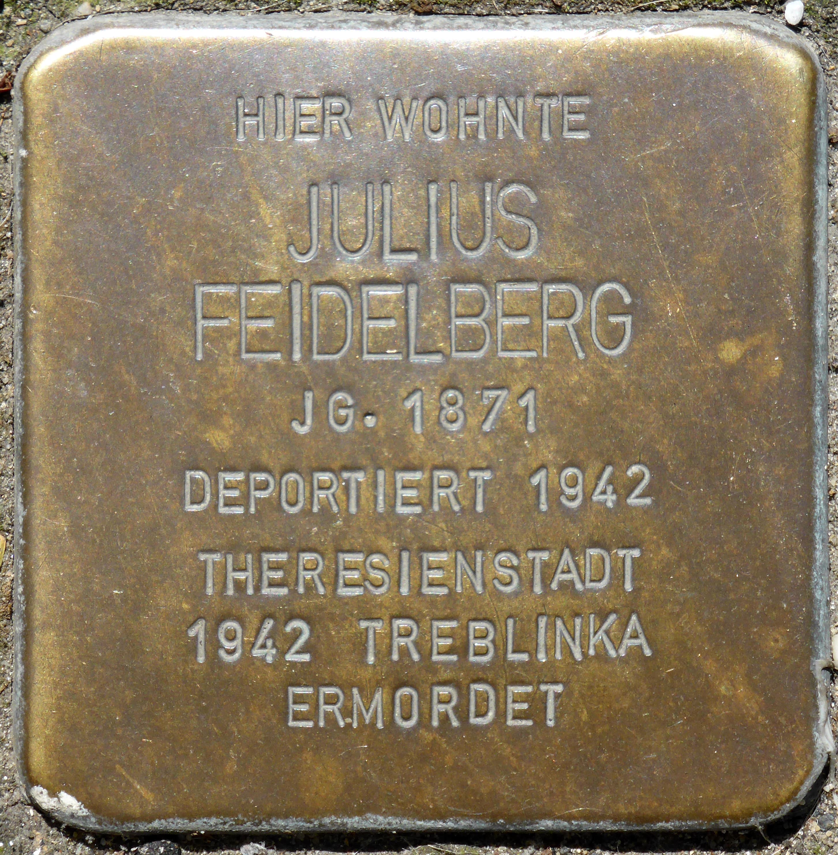 Julius Feidelberg