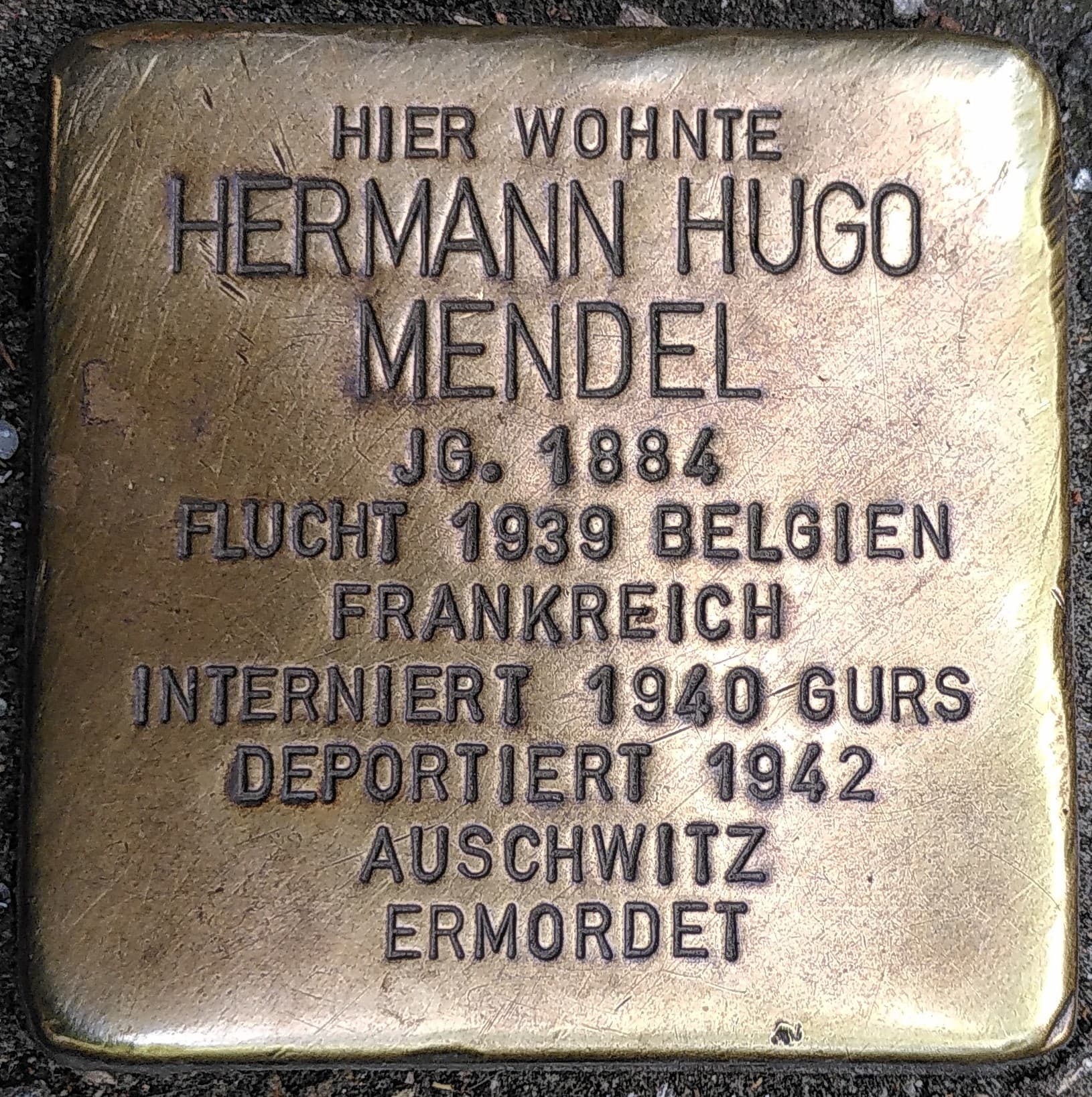 Hermann Hugo Mendel