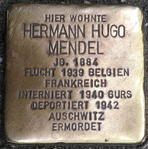 Hermann Hugo Mendel