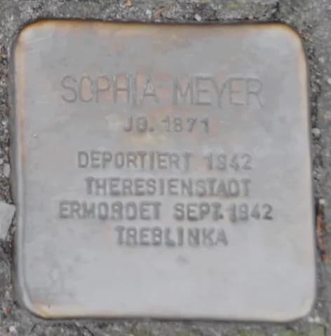 Sophia Meyer