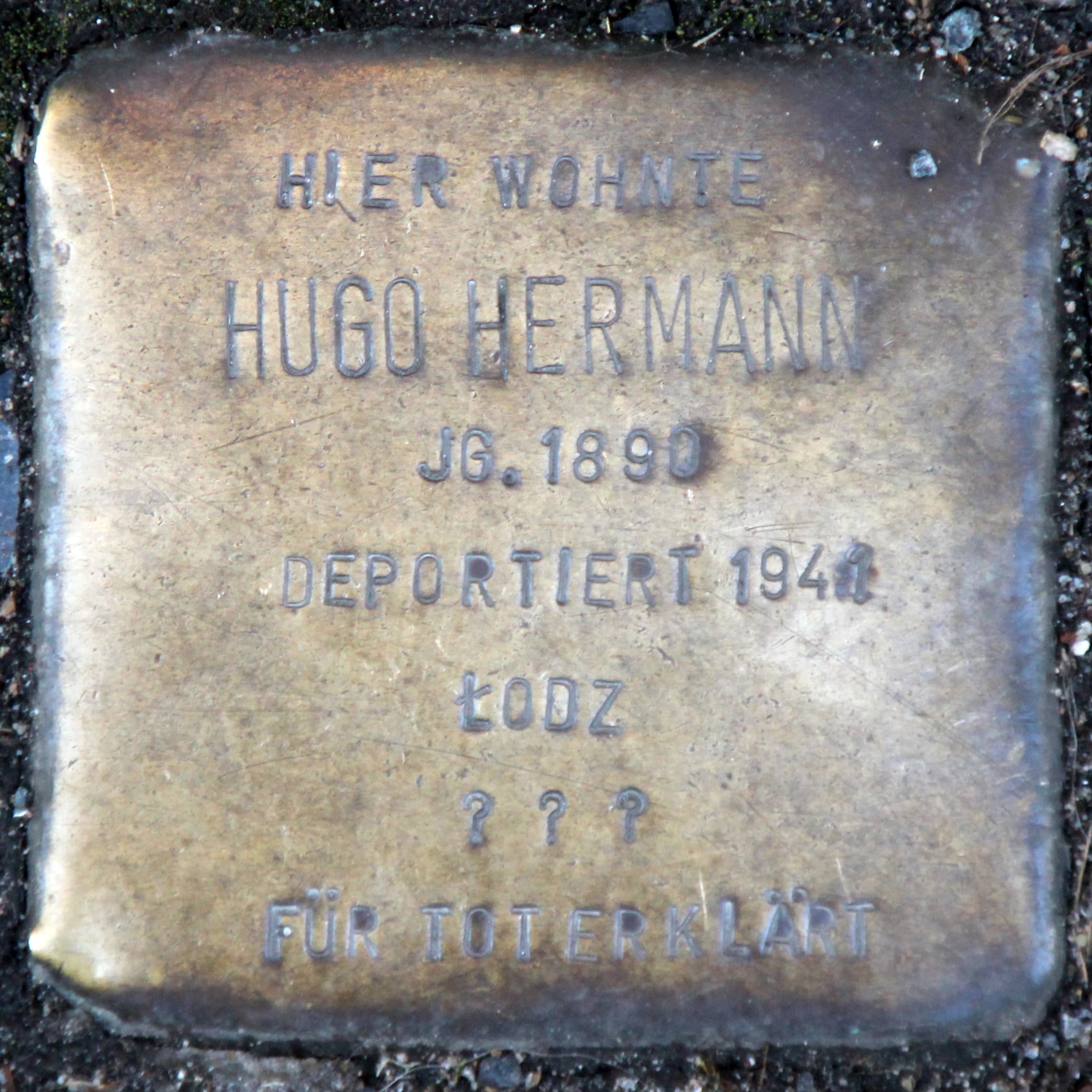 Hugo Hermann