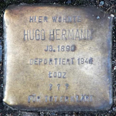 Hugo Hermann