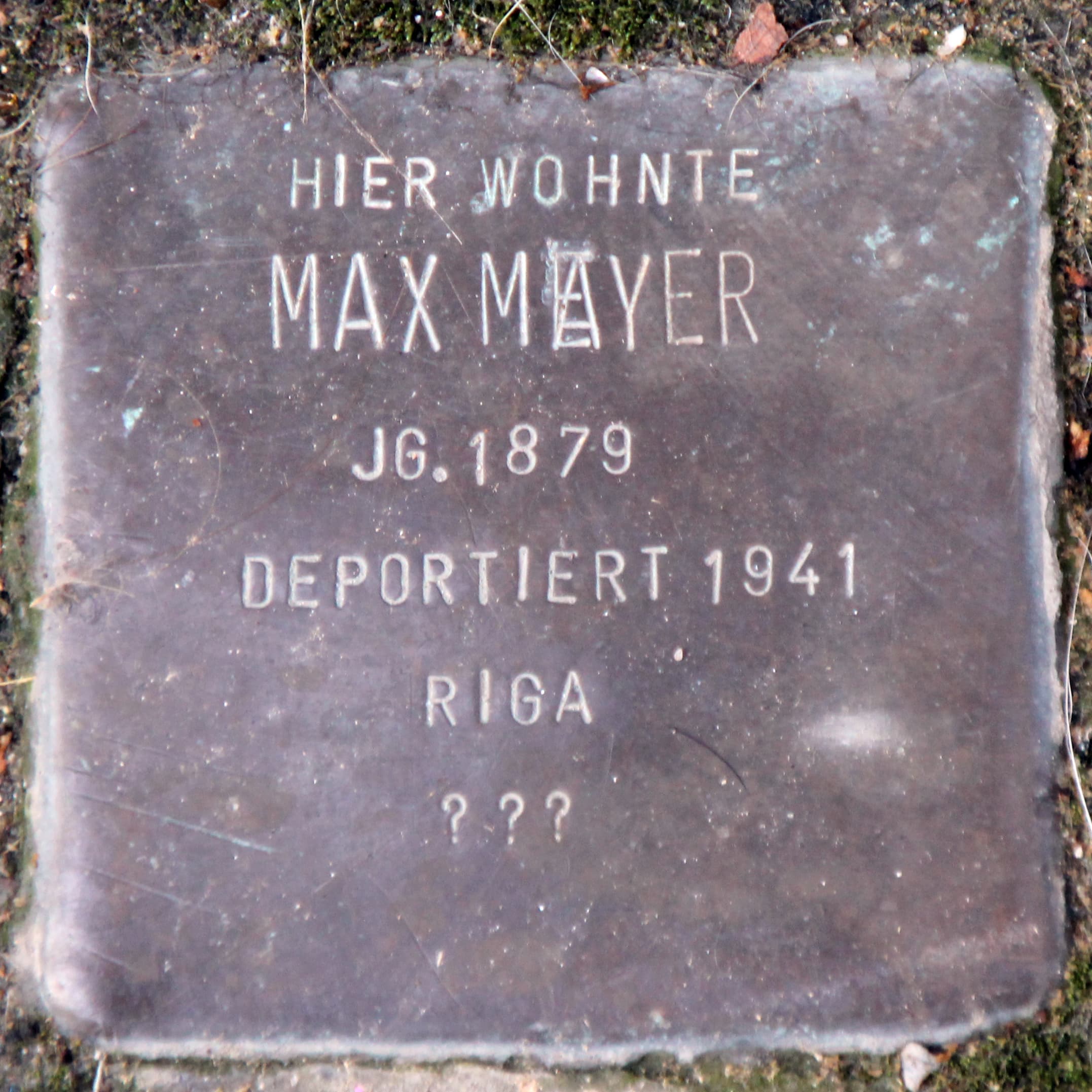 Max Mayer