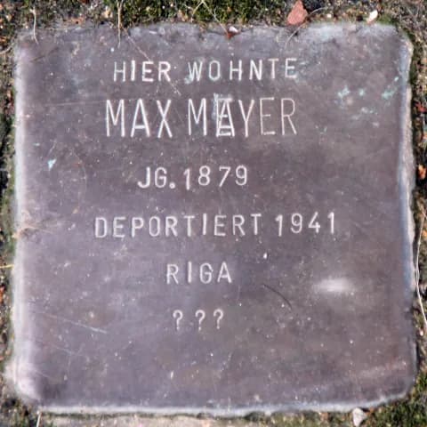 Max Mayer