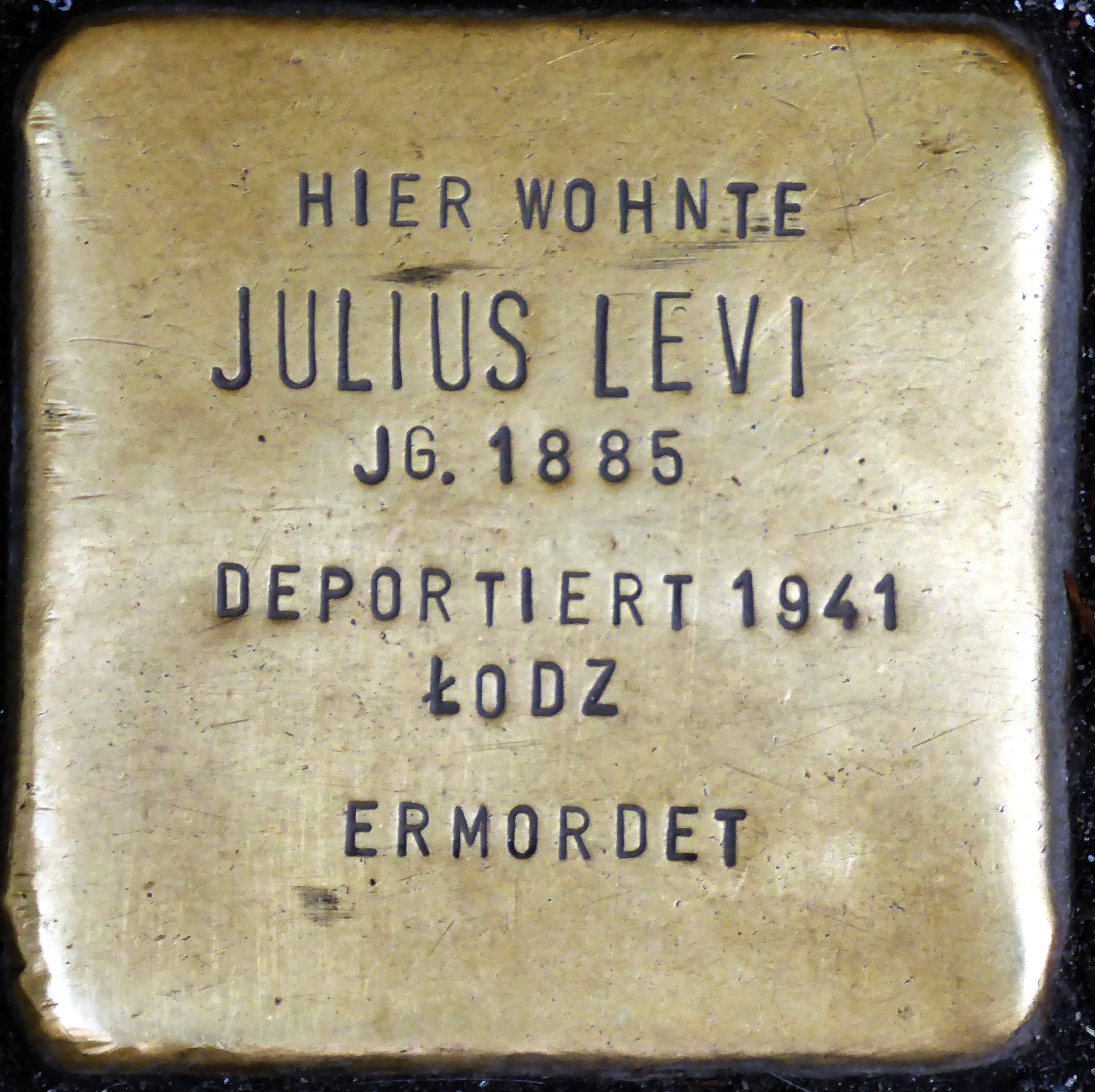 Julius Levi