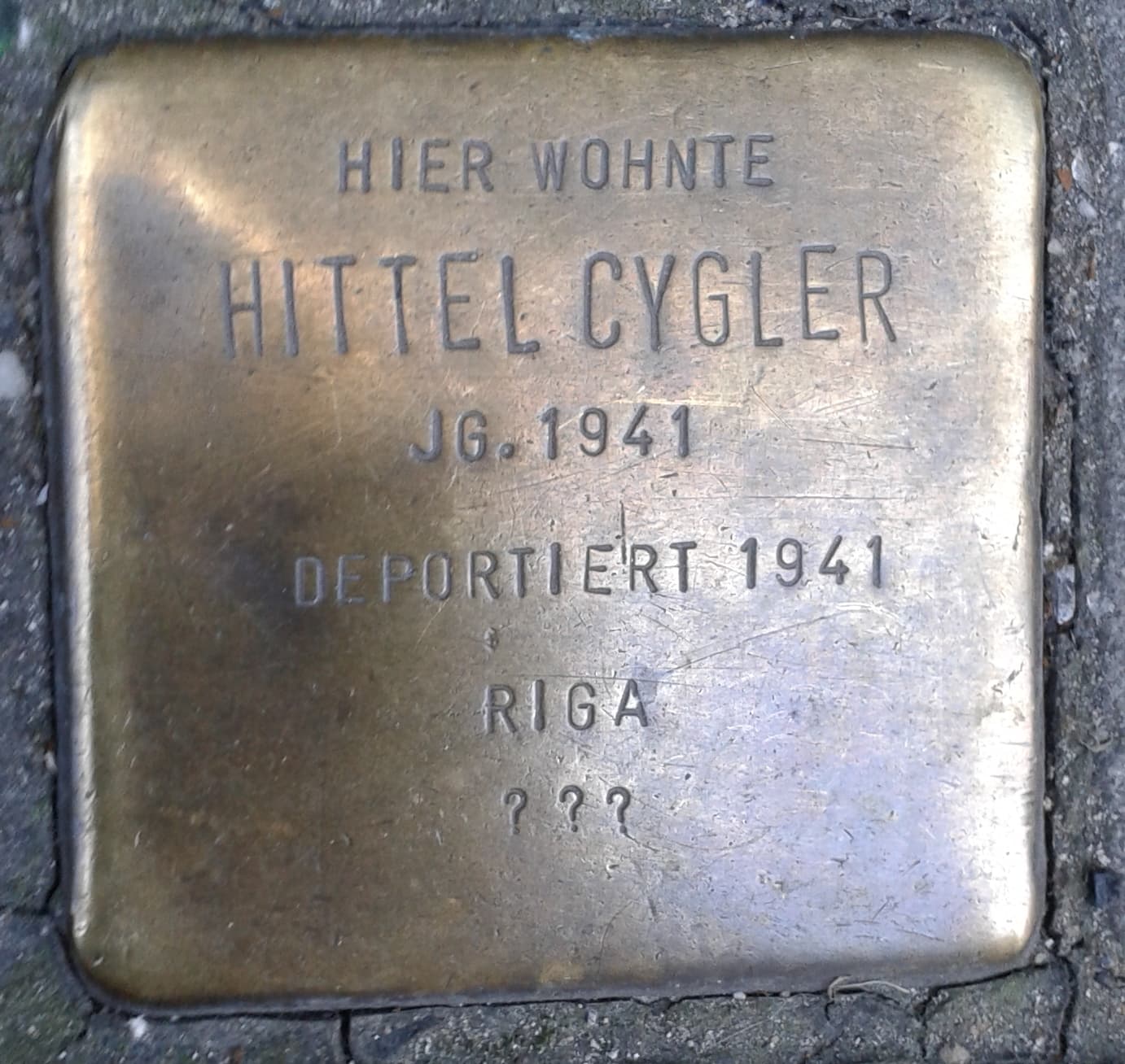 Hittel Cygler