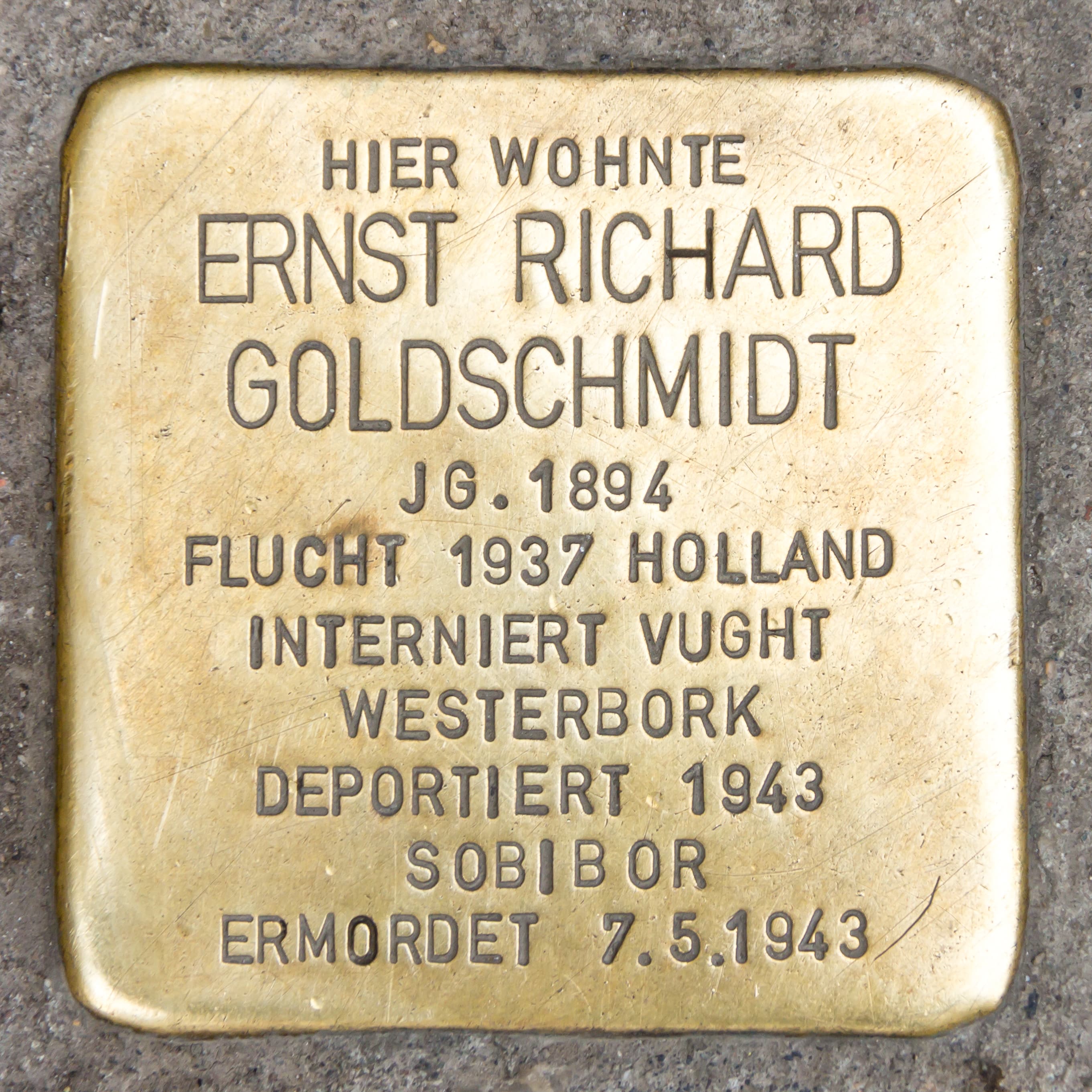 Ernst Richard Goldschmidt
