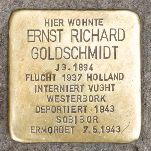 Ernst Richard Goldschmidt