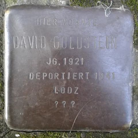 David Goldstein