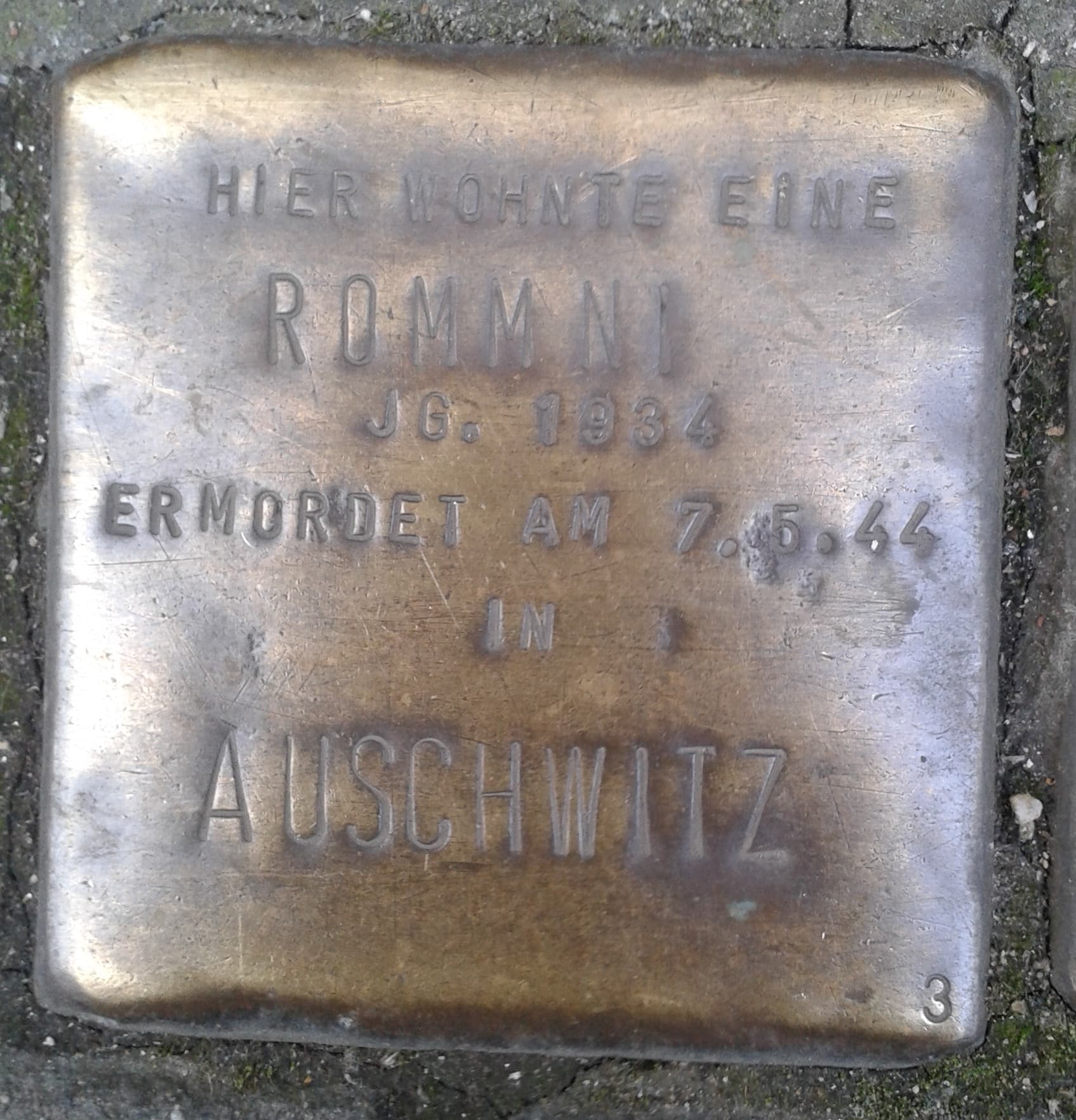 Rommni Jg. 1934